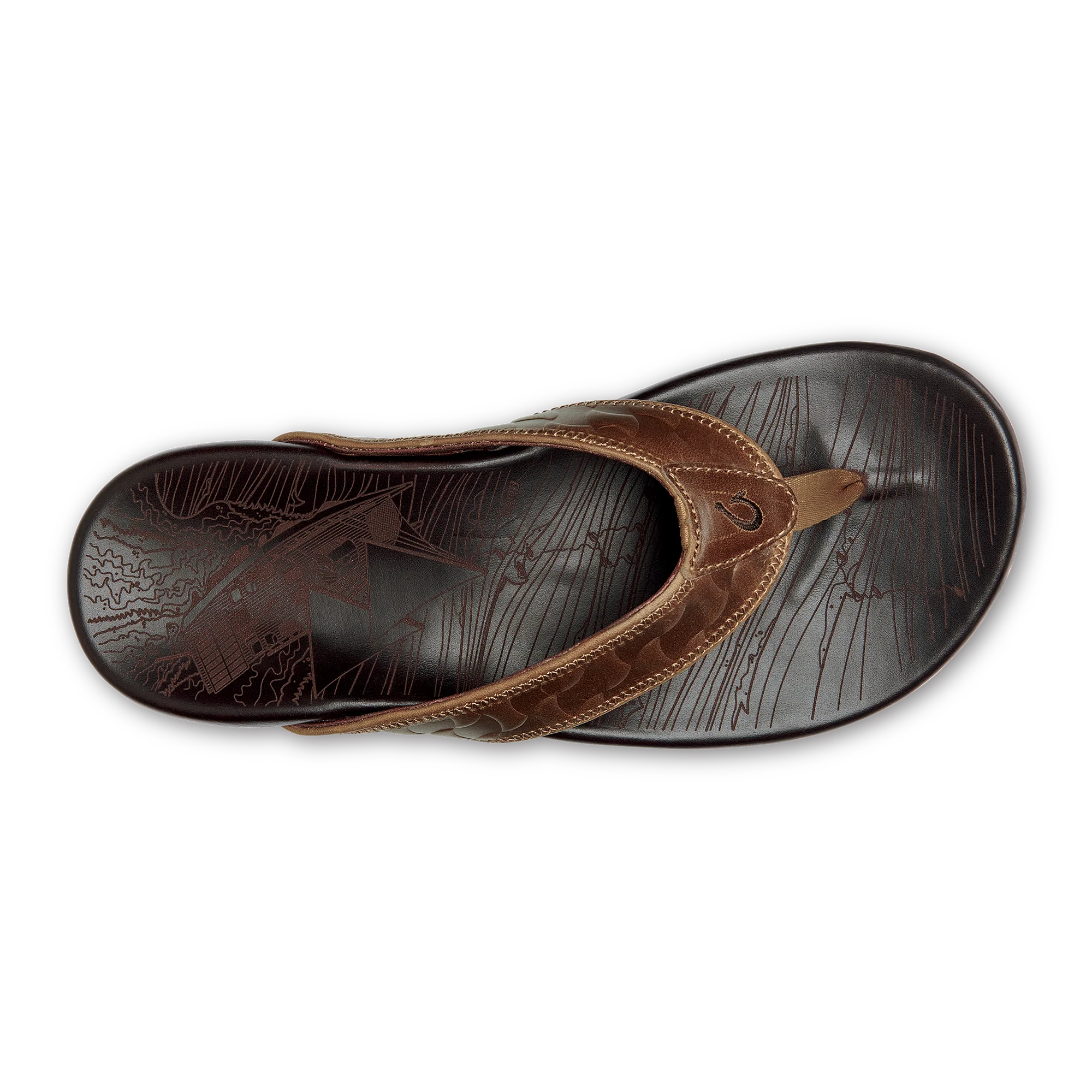 Hikianalia - Tan / Dark Java - Image 9