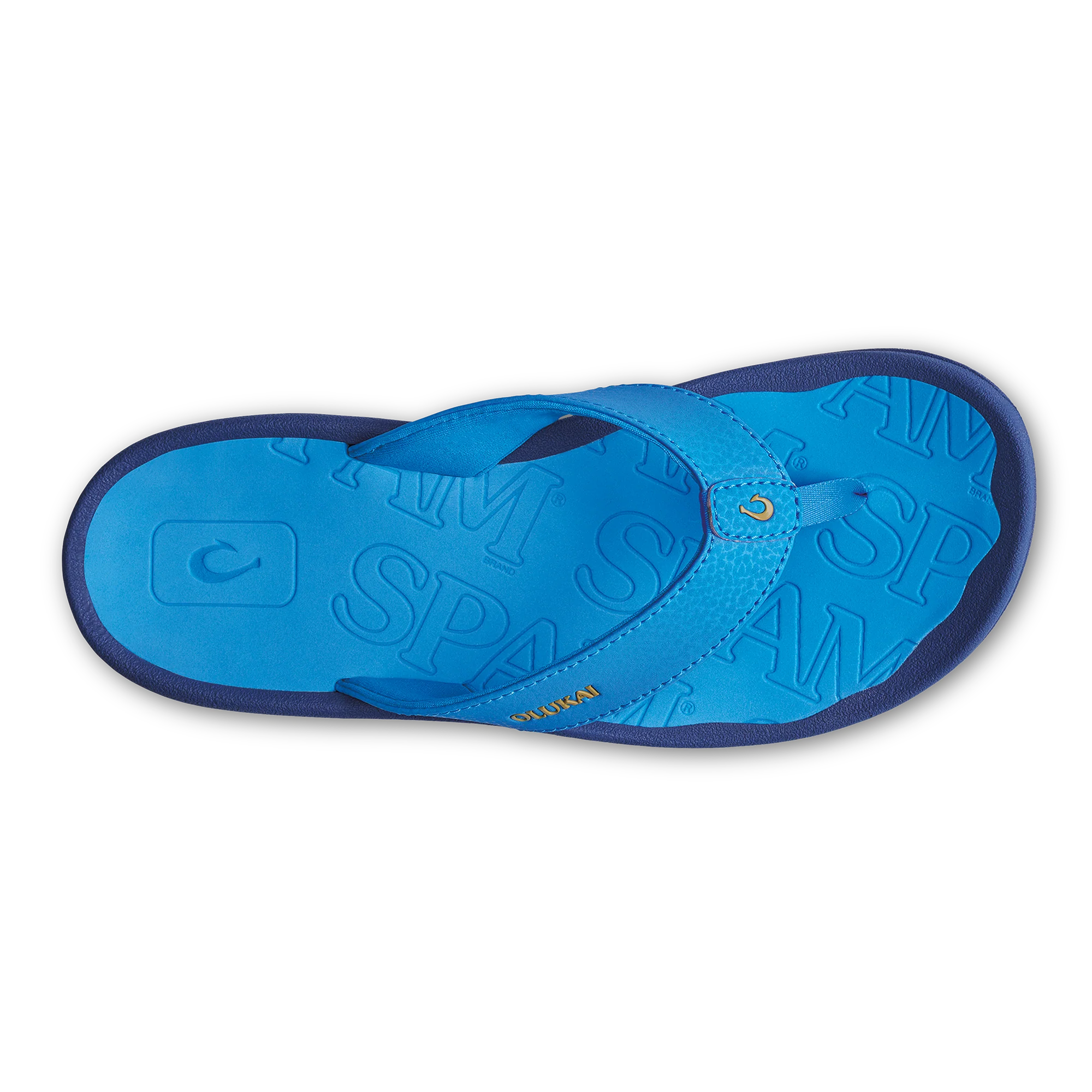 ‘Ohana  -  Bold Blue / Bold Blue - Image 5